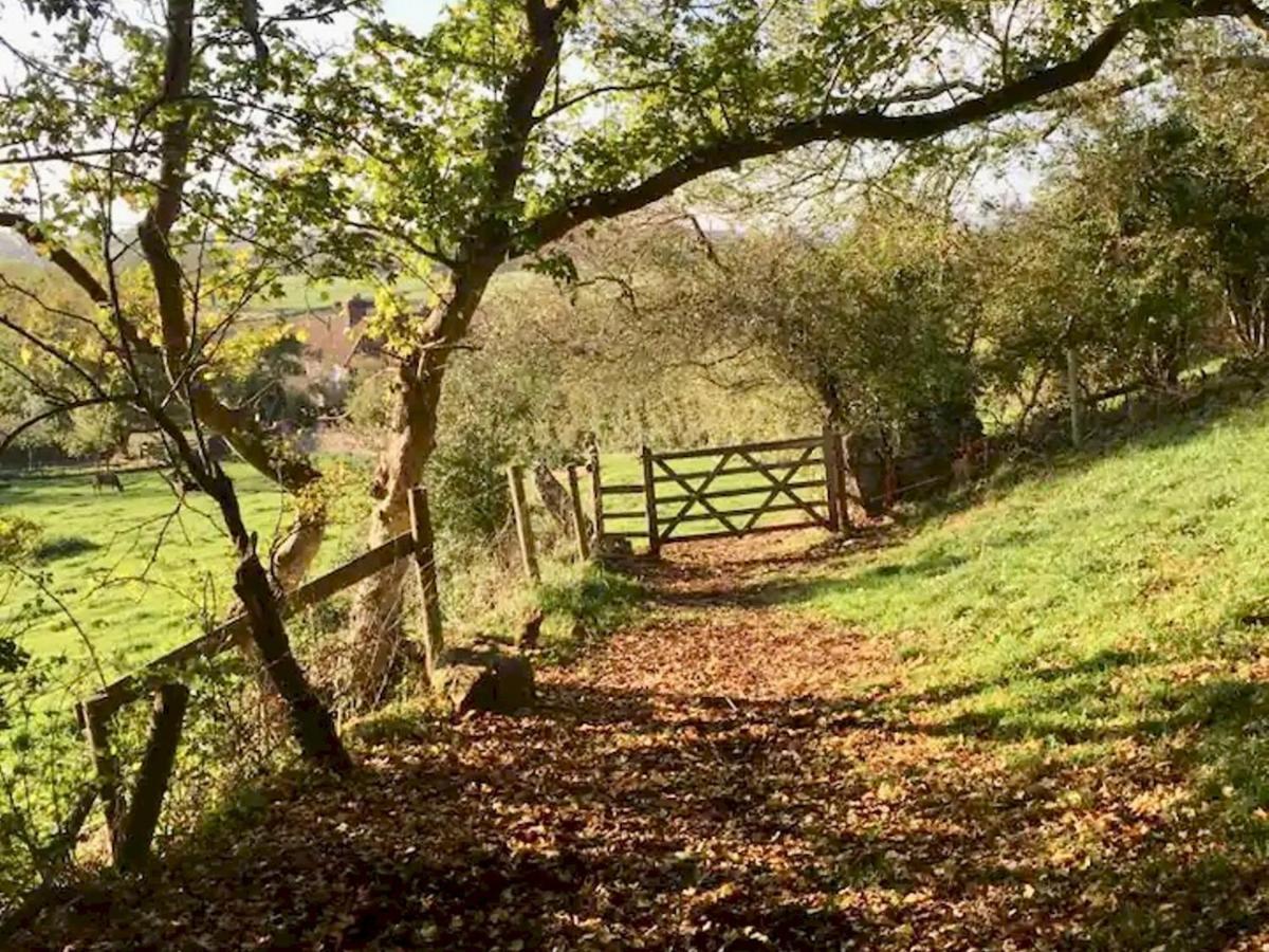 Pass The Keys Goose Feather Barn, Wedmore Luxury Cottage For Two المظهر الخارجي الصورة